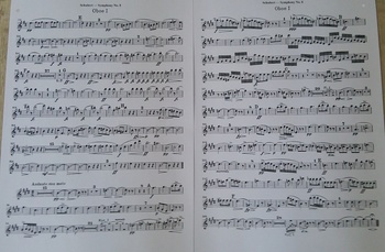 Schubert (3).JPG